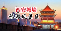 鸡巴插插日本中国陕西-西安城墙旅游风景区