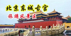 操逼美女站长工具中国北京-东城古宫旅游风景区